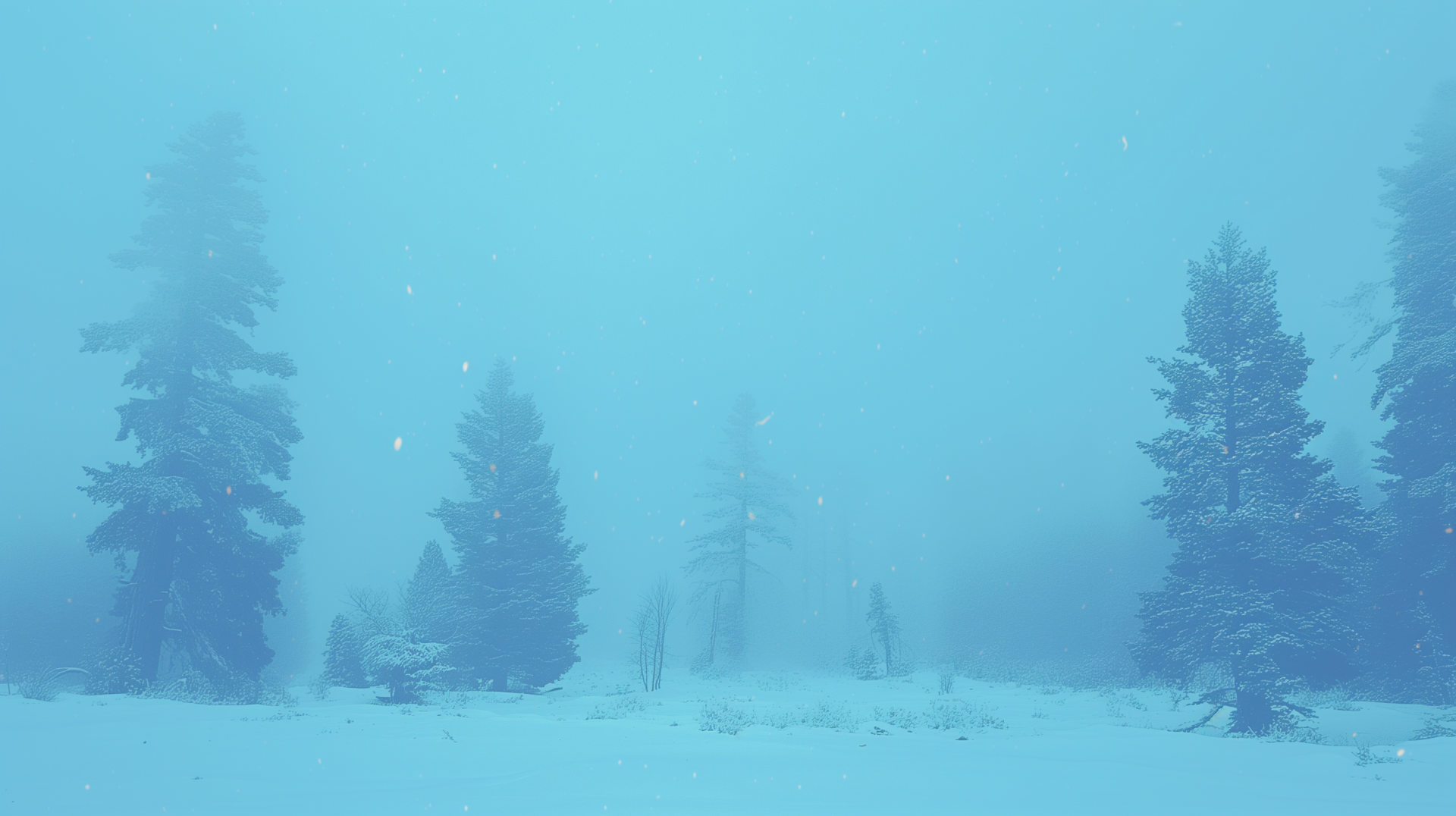 Serene snowy landscape with evergreen trees during a snowfall for HD desktop wallpaper and background.