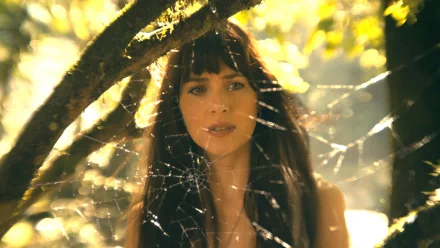 HD wallpaper of a woman gazing through a spider's web in a sunlit forest, evoking the theme of Madame Web.