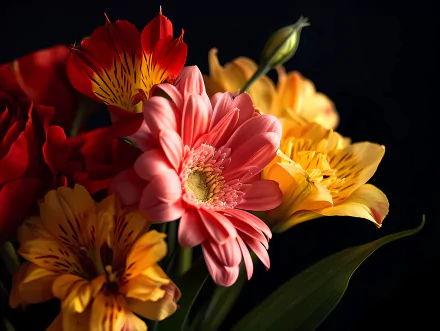  blooming flowers