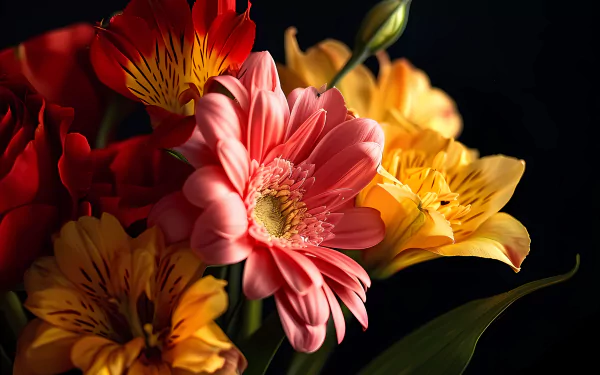  blooming flowers