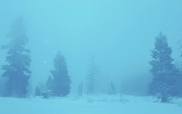 Serene snowy landscape with evergreen trees during a snowfall for HD desktop wallpaper and background.