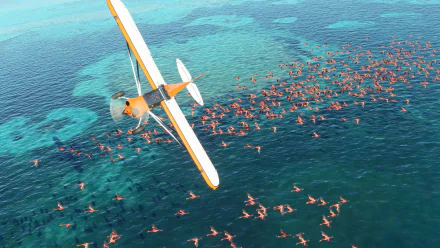 HD wallpaper featuring a single-engine airplane from Microsoft Flight Simulator flying over a crisp, blue sea with a flock of flamingos.