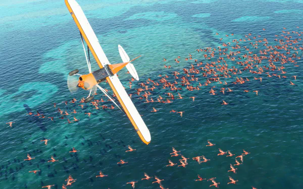HD wallpaper featuring a single-engine airplane from Microsoft Flight Simulator flying over a crisp, blue sea with a flock of flamingos.