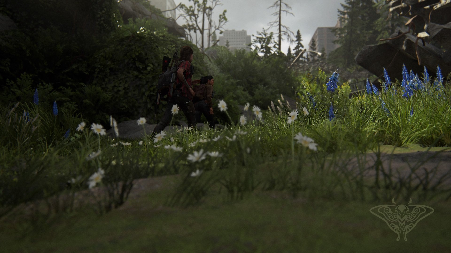 Running Seattle 3 (flowers) by Tlouuser447