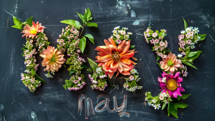 HD desktop wallpaper featuring the word May crafted from vibrant flowers and greenery on a dark background.