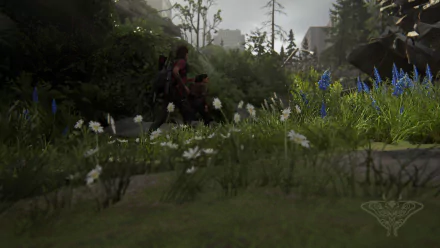  Running Seattle 3 (flowers)