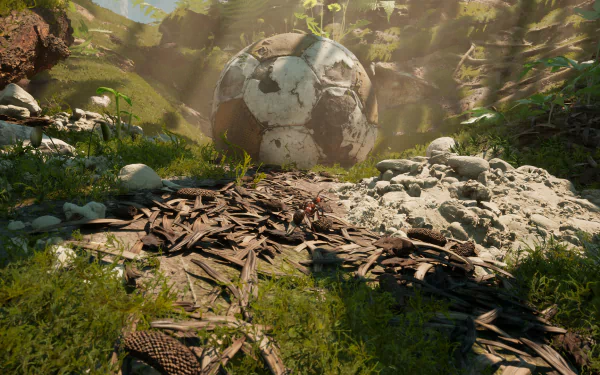 HD desktop wallpaper and background from the video game Empire of the Ants, featuring an ant's perspective with a large soccer ball amid natural surroundings.