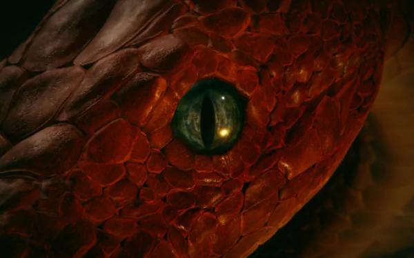 Close-up of a serpent's eye from the game Elden Ring, featuring intricate scales and vivid colors. The image is tagged Elden Ring Shadow of the Erdtree and Messmer the Impaler. HD desktop wallpaper.