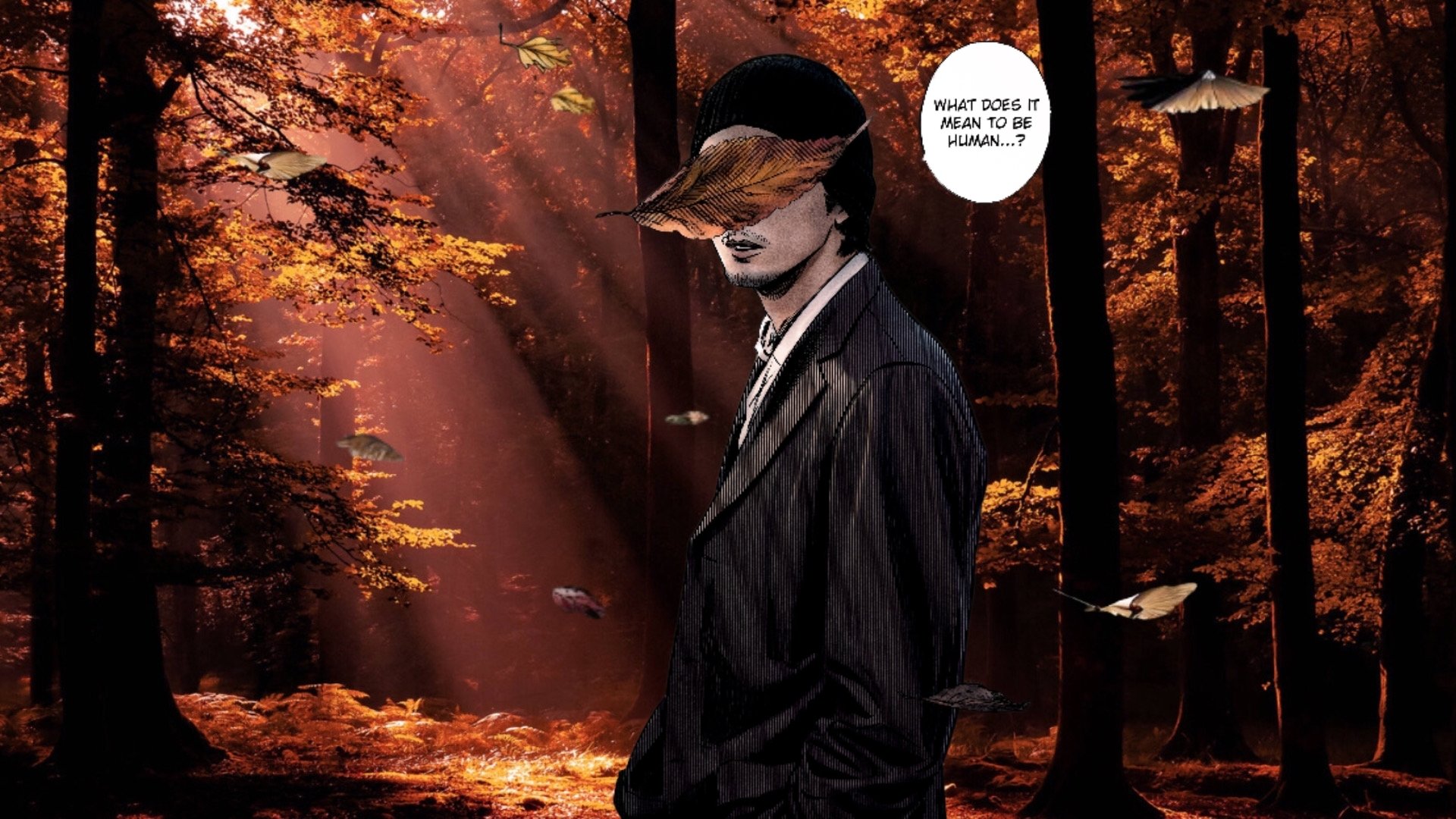 Download HD Wallpaper