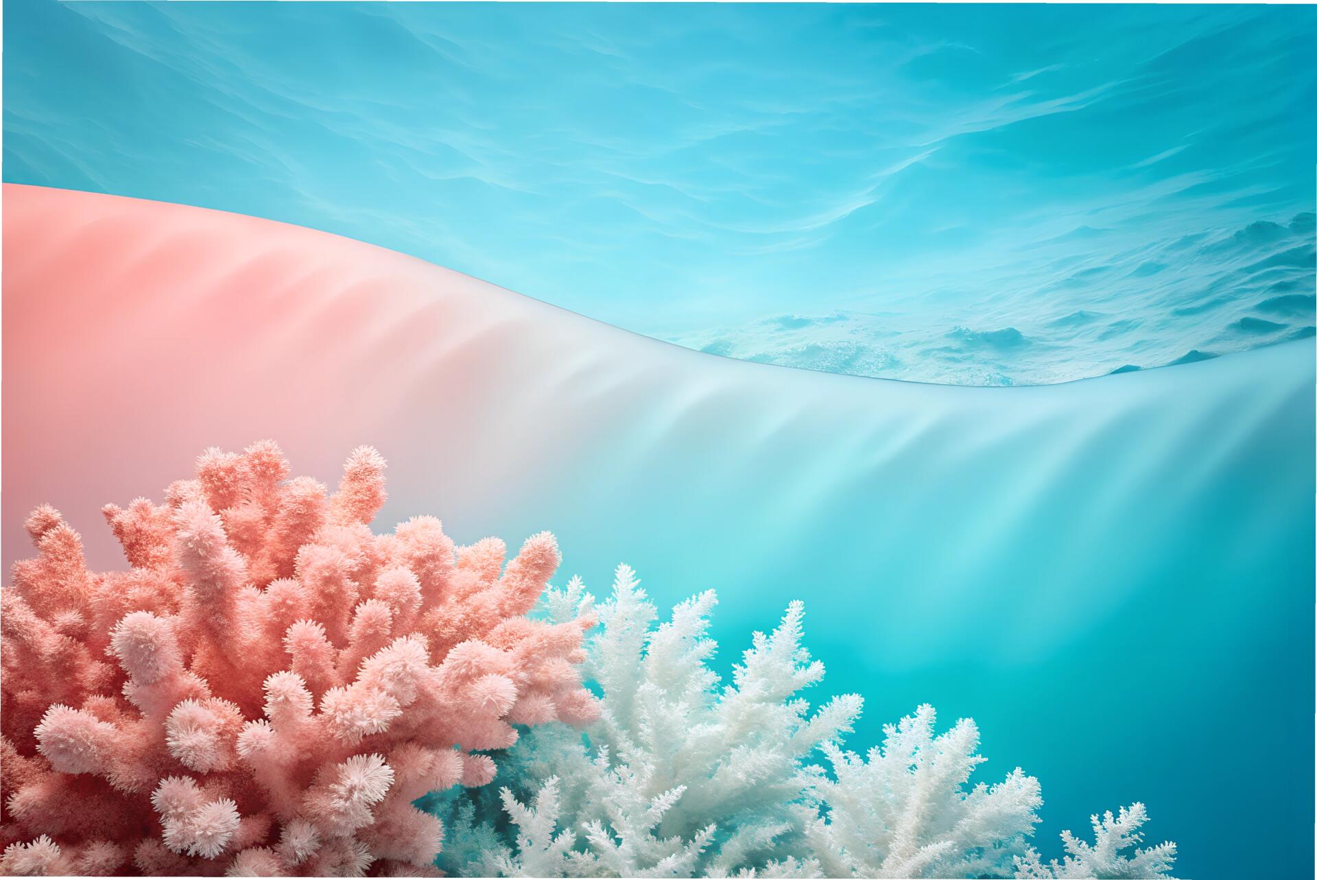 Coral pink left, sky blue right, divided by a smooth wave with a blank white center by soheltanwar