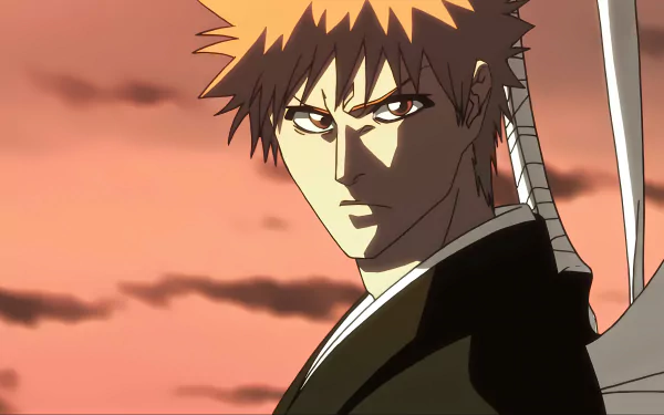  Bleach | Ichigo-san