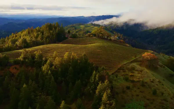  Mac OS Sonoma 4K Wallpaper