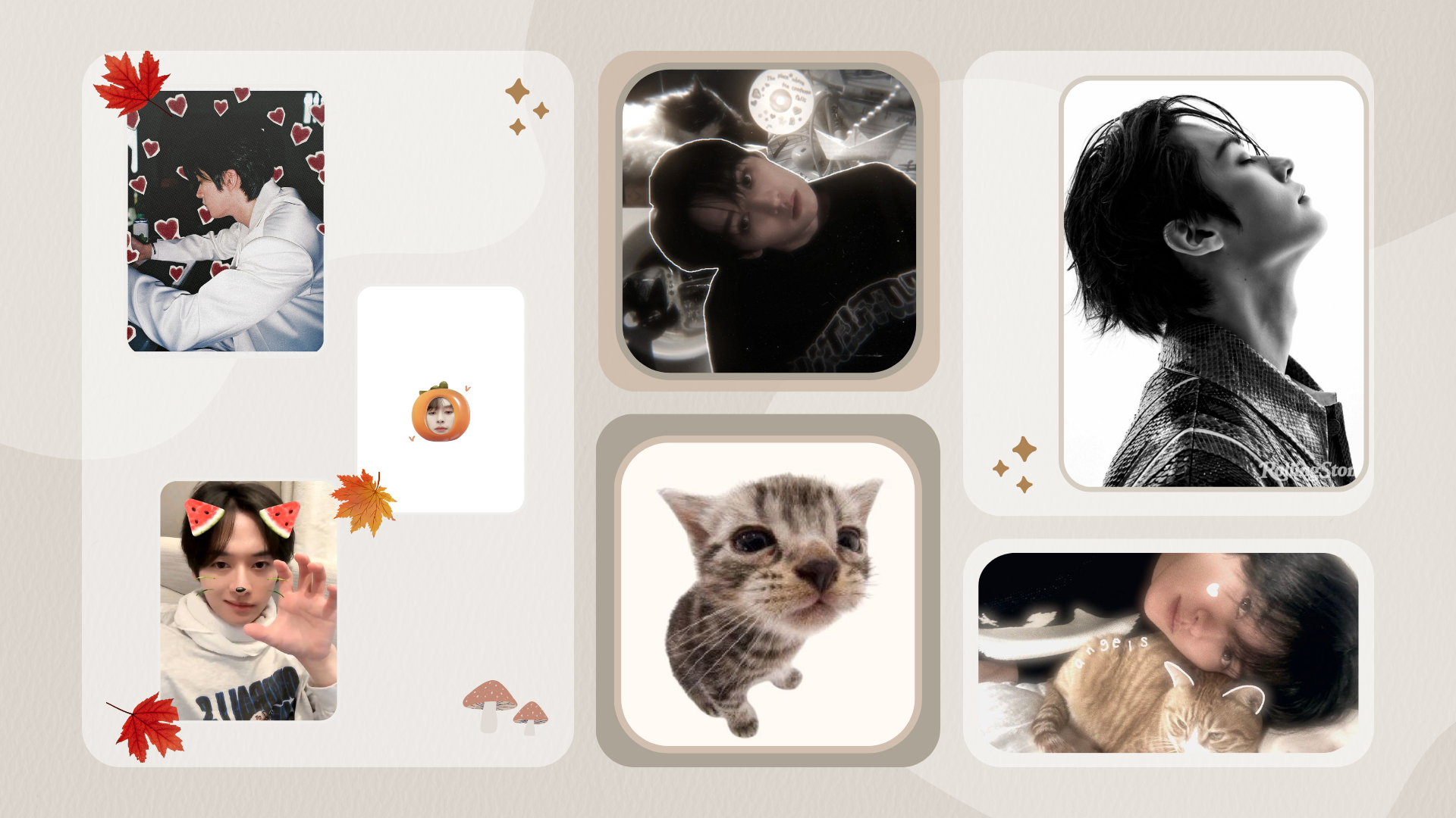 HD PC desktop wallpaper featuring multiple stylish images of Stray Kids members and a playful cat, accented with autumn leaves and delicate decorative elements.