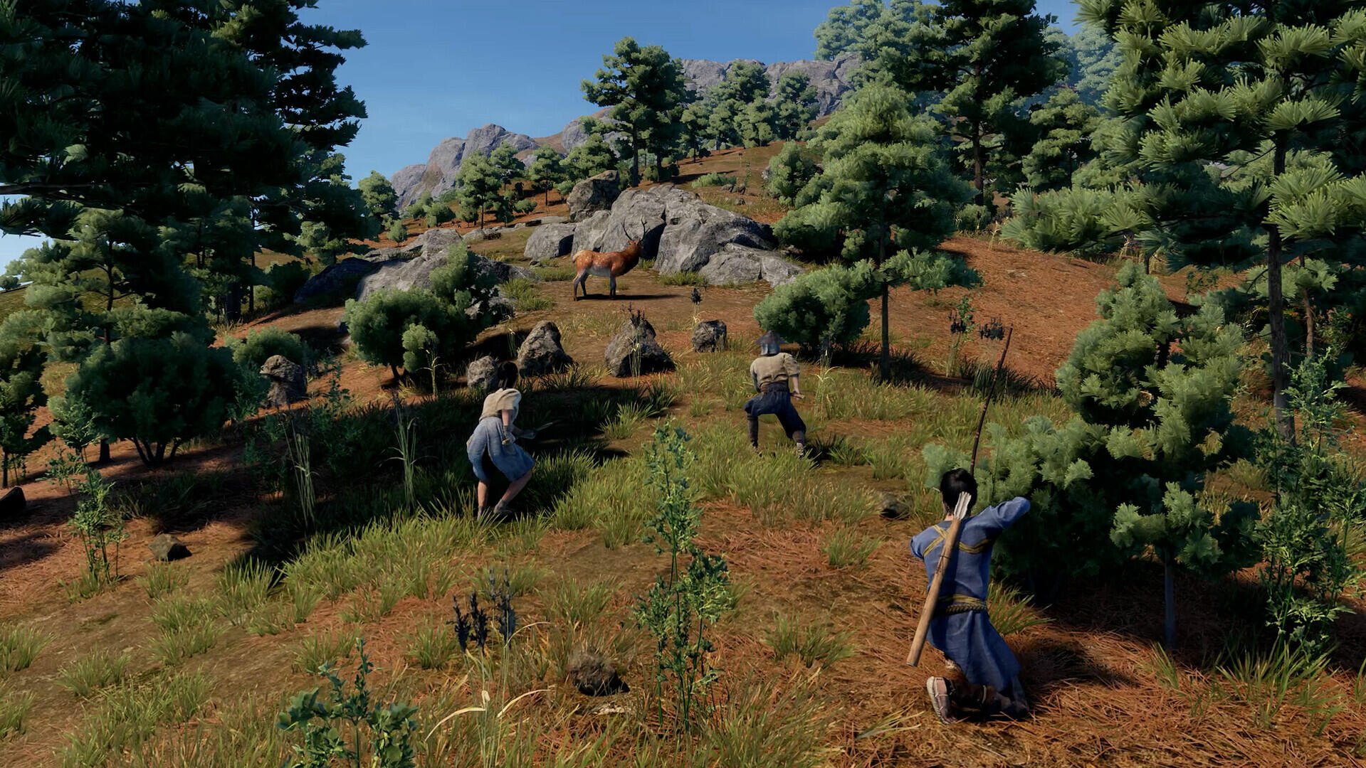HD wallpaper from the video game Sengoku Dynasty, showcasing characters in a forested landscape, surrounded by trees and rocky terrain, engaging in dynamic activities.
