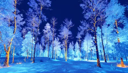 4K Ultra HD winter scenery of a snow-covered forest with tall trees under a deep blue sky, creating a serene and crisp winter atmosphere.