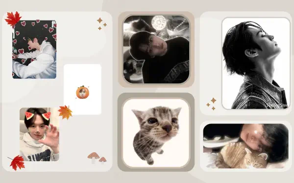 HD PC desktop wallpaper featuring multiple stylish images of Stray Kids members and a playful cat, accented with autumn leaves and delicate decorative elements.