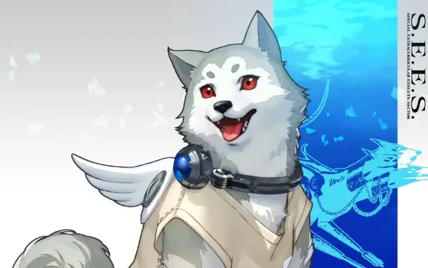 Persona 3 Reload Koromaru (Persona) HD Desktop Wallpaper | Background Image