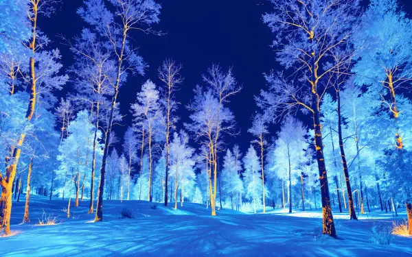 4K Ultra HD winter scenery of a snow-covered forest with tall trees under a deep blue sky, creating a serene and crisp winter atmosphere.