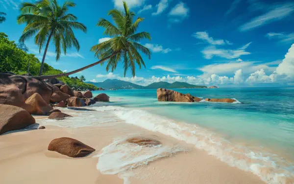 A 4K Ultra HD desktop wallpaper featuring a serene beach with palm trees, smooth rocks, and crystal-clear turquoise water under a vibrant blue sky.