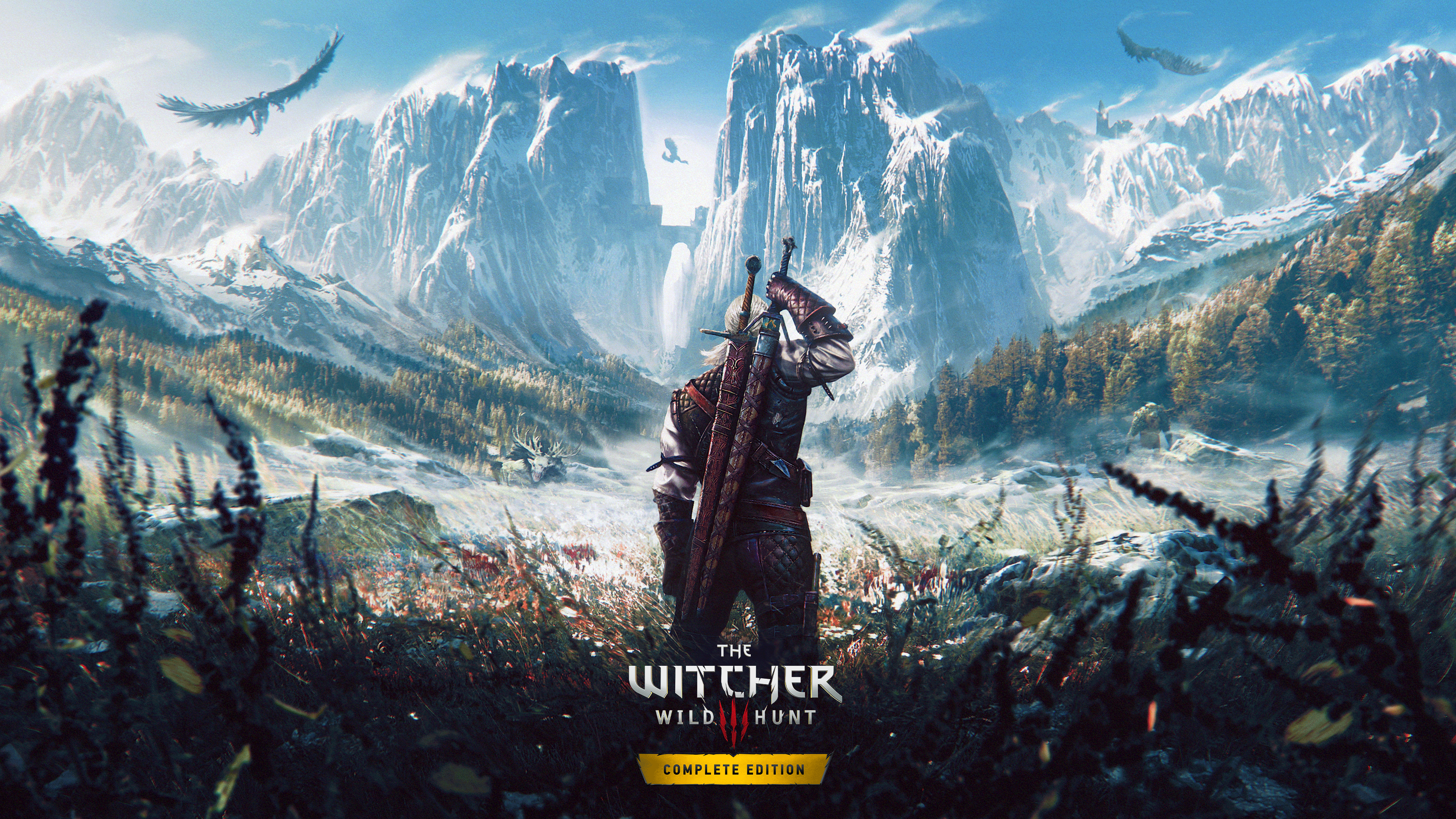 THE WITCHER 3 : WILD HUNT