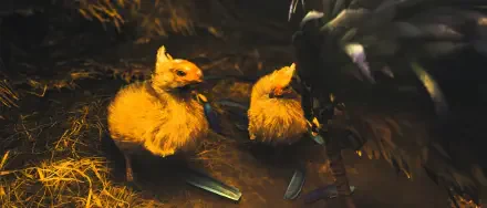 A vibrant HD wallpaper featuring fluffy Chocobos from Final Fantasy, set against a backdrop inspired by Monster Hunter Wilds. The scene captures their charming details and playful nature.