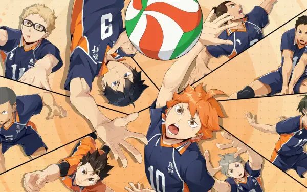Haikyū!! Shōyō Hinata HD Desktop Wallpaper | Background Image