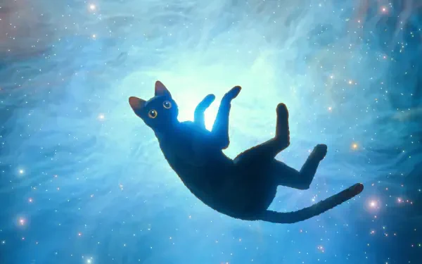 A black cat floats in a cosmic background filled with stars and vibrant colors, showcasing a scene inspired by the upcoming movie Flow (2024).