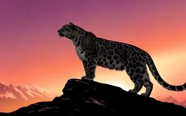 A majestic snow leopard stands atop a rock against a vibrant sunset, making a striking 4K Ultra HD desktop wallpaper to capture the beauty of wildlife.