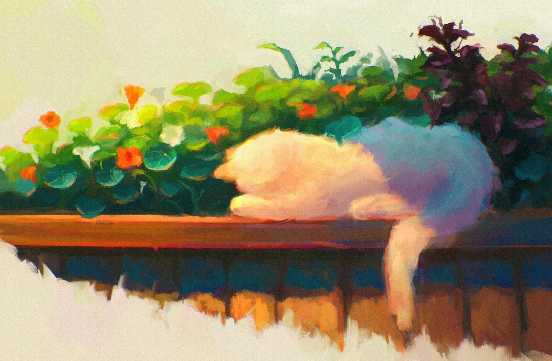 HD PC desktop wallpaper background: fluffy white cat naps atop a wooden fence surrounded by bright spring flowers bathed in warm, golden light.
