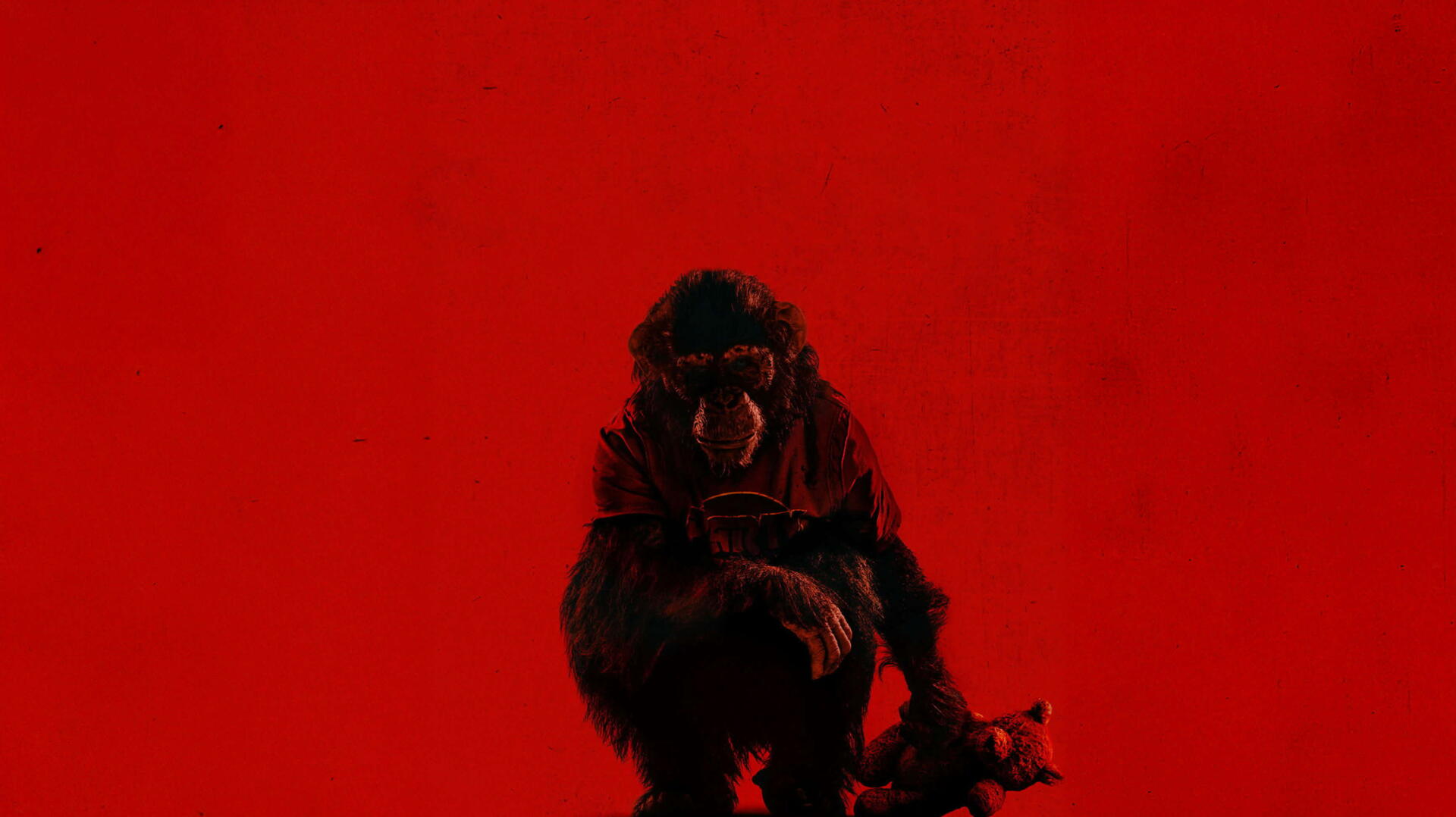 Crouching primate silhouette on a vivid red field — 2K Quad HD PC desktop wallpaper and background.