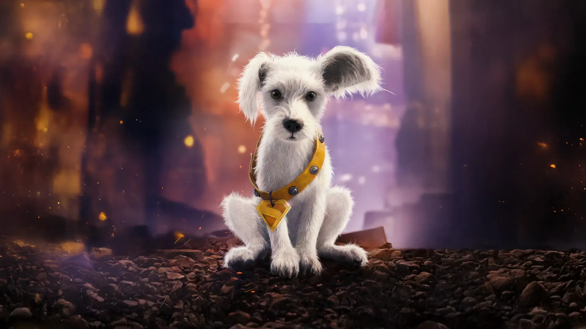 Supergirl (2026) 4K Ultra HD PC Desktop Wallpaper and Background: small white dog in a yellow harness sits on rocky ground before a glowing, blurred cityscape.