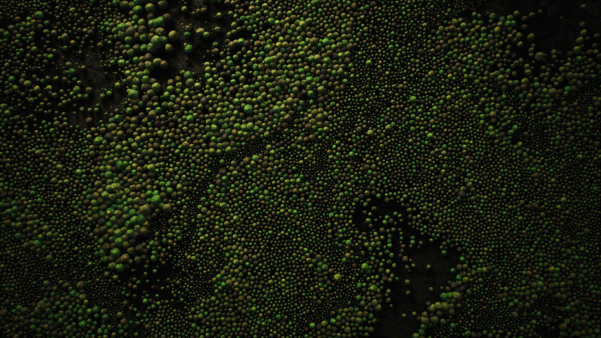 HD PC desktop wallpaper: green biological texture of densely packed spherical cells forming moss-like patterns on a dark background.