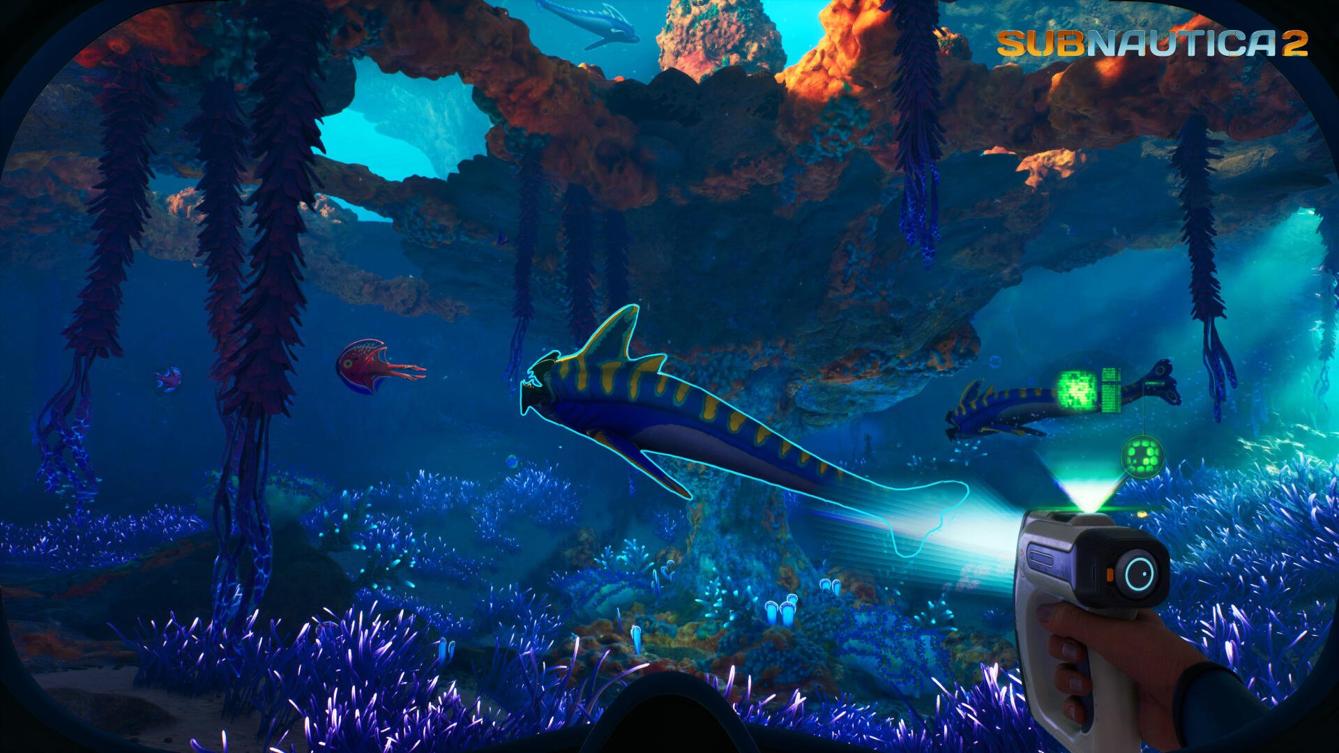4K Ultra HD Subnautica 2 video game PC desktop wallpaper: underwater bioluminescent reef with a glowing fish and a player-held scanner illuminating the scene.