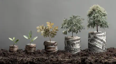 4K Ultra HD PC desktop wallpaper depicting investing: seedlings and trees sprouting from ascending stacks of coins and rolled dollar bills planted in soil.