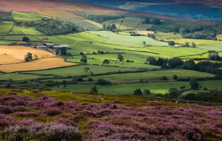 5K Ultra HD PC desktop wallpaper of a Yorkshire moorland hill: heather in the foreground, patchwork fields and rolling green valleys in a natural landscape.