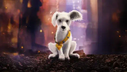 Supergirl (2026) 4K Ultra HD PC Desktop Wallpaper and Background: small white dog in a yellow harness sits on rocky ground before a glowing, blurred cityscape.
