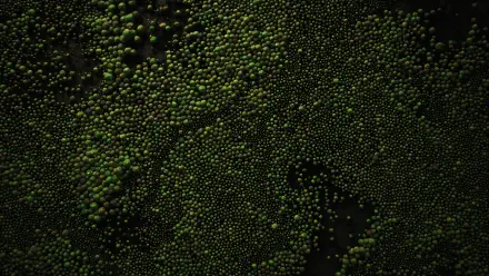 HD PC desktop wallpaper: green biological texture of densely packed spherical cells forming moss-like patterns on a dark background.
