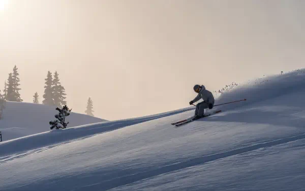 Skier carving fresh snow down a sunlit mountain slope with silhouetted trees, 4K Ultra HD PC desktop wallpaper and background.