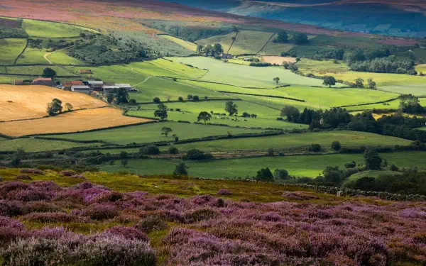 5K Ultra HD PC desktop wallpaper of a Yorkshire moorland hill: heather in the foreground, patchwork fields and rolling green valleys in a natural landscape.