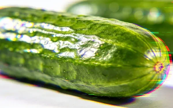 Close-up glossy cucumber with vibrant green texture and light reflections; 4K Ultra HD PC desktop wallpaper and background.