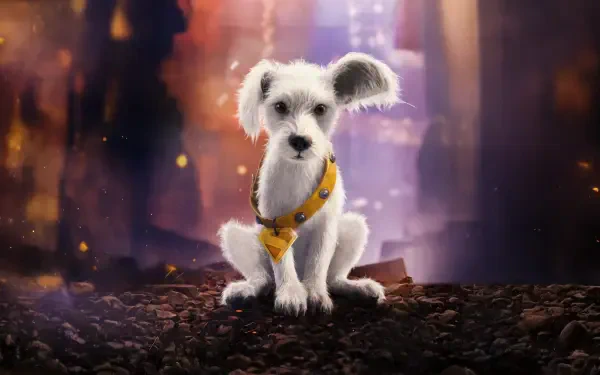 Supergirl (2026) 4K Ultra HD PC Desktop Wallpaper and Background: small white dog in a yellow harness sits on rocky ground before a glowing, blurred cityscape.