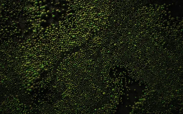 HD PC desktop wallpaper: green biological texture of densely packed spherical cells forming moss-like patterns on a dark background.