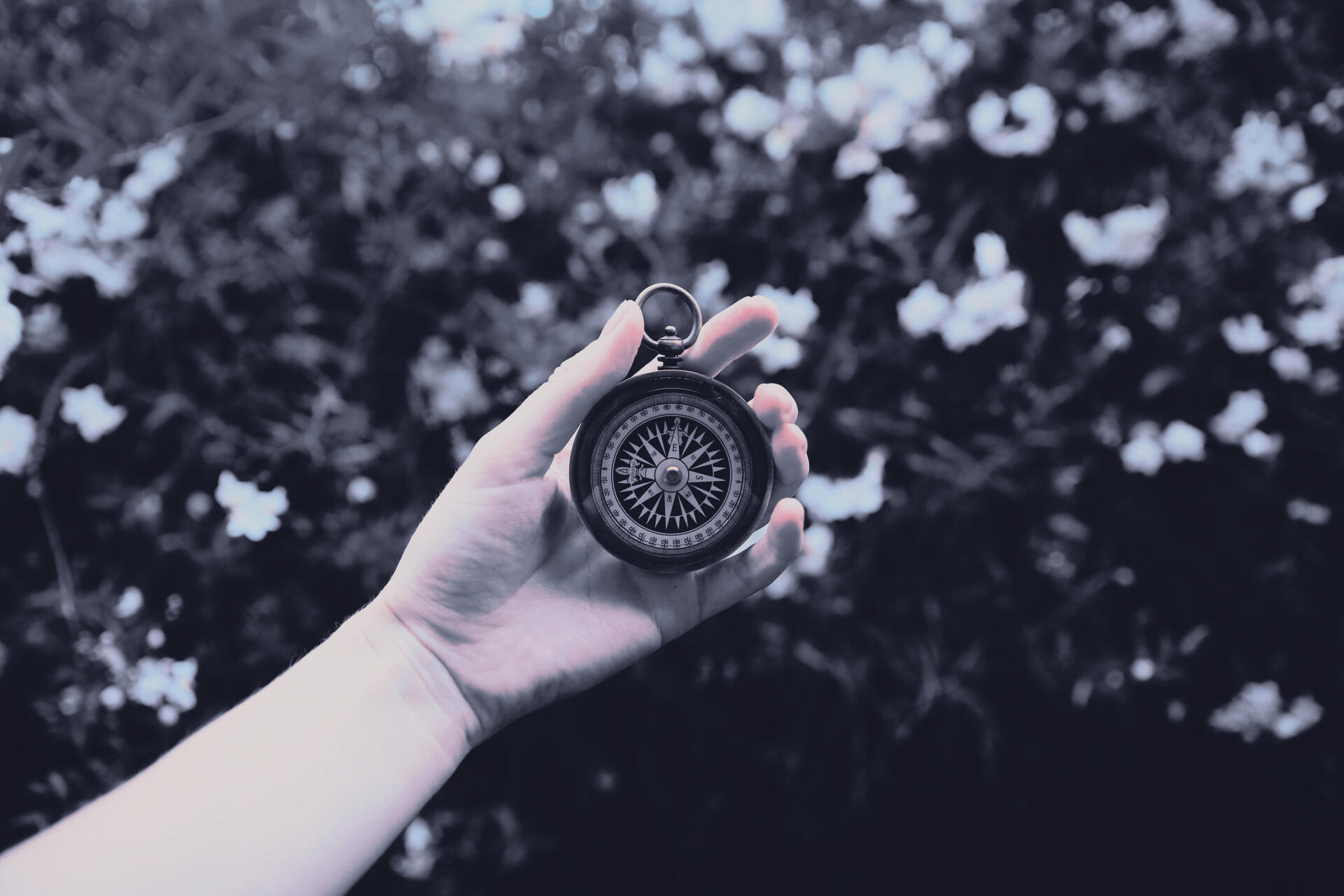 Digital art, digital painting, illustration: hand holding an antique compass against a blurred floral landscape — 5K Ultra HD PC desktop wallpaper and background artwork.