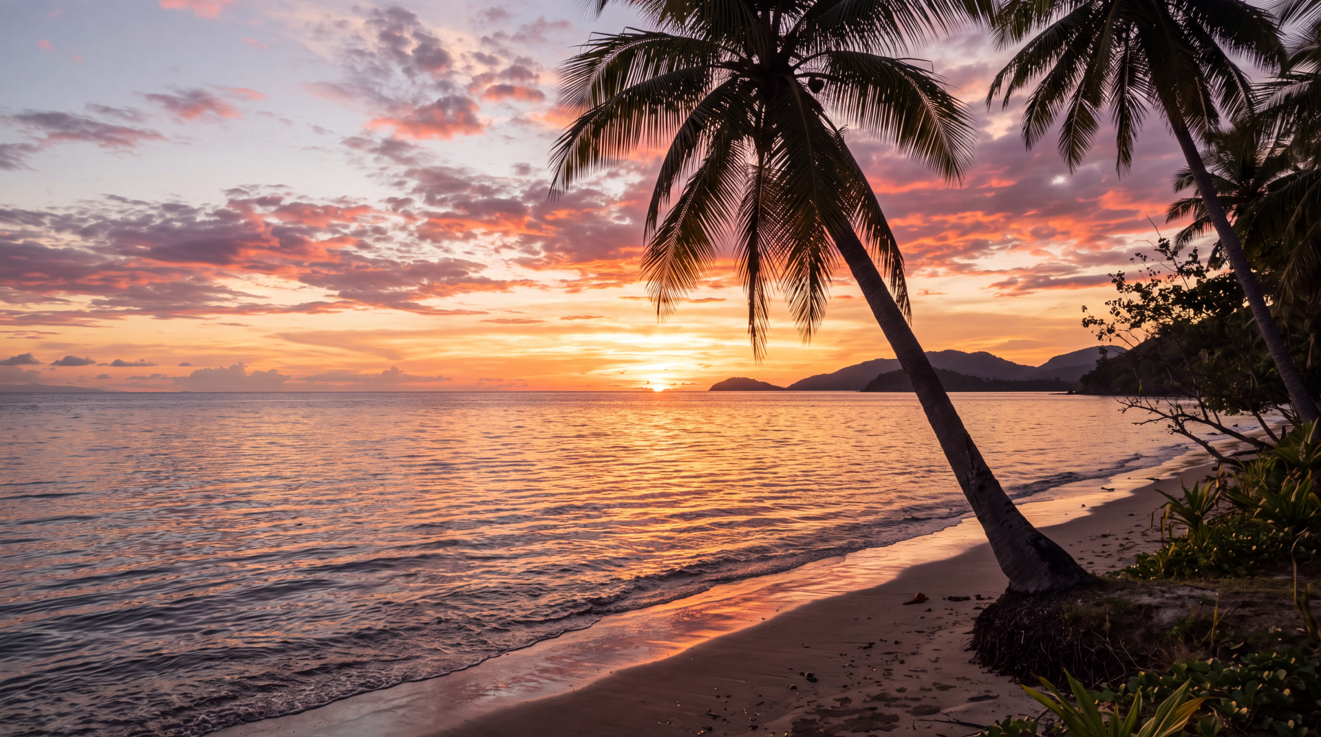 Tropical sunset over a palm-lined beach, 5K Ultra HD PC desktop wallpaper and background.