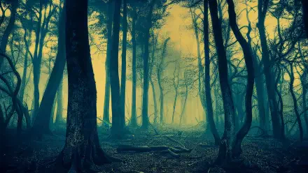 Haunted Forest 4K Ultra HD PC desktop wallpaper and background: shadowed trees, tangled roots and greenish mist filtering light, creating an eerie, atmospheric depth.