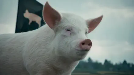 4K Ultra HD PC desktop wallpaper: close-up of a white pig with a pink snout against a misty field and a black flag bearing a pig silhouette.