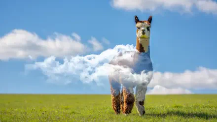 Alpaca with cloud-filled double-exposure body on a green field under a bright blue sky — 5K Ultra HD PC desktop wallpaper/background.