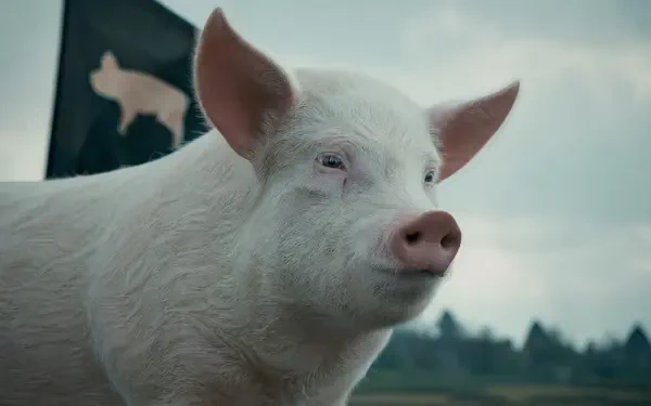 4K Ultra HD PC desktop wallpaper: close-up of a white pig with a pink snout against a misty field and a black flag bearing a pig silhouette.