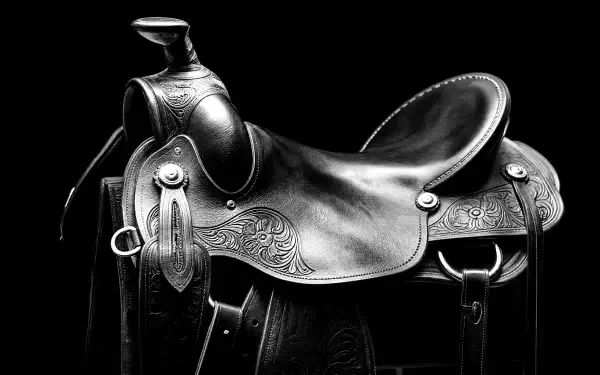 Ornately tooled leather Western saddle on a black background; high-contrast black-and-white 4K Ultra HD PC desktop wallpaper and background.