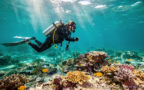 4K Ultra HD PC desktop wallpaper: scuba diver photographing a vibrant coral reef and colorful fish beneath sunlit turquoise water.